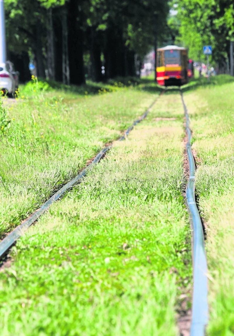 Tramwaj jedzie... stół się trzęsie! Mieszkańcy mają tego dość!