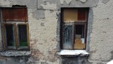 Uwięzione ptaki w pustym mieszkaniu przy ul. Niecałej w Lublinie. Pomoc nie nadeszła