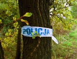 30-letni mężczyzna podejrzany o gwałt na mieszkance Mysłowic. Trzy miesiące spędzi w tymczasowym areszcie