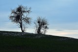 Pogoda w Łódzkiem. Ostrzeżenie Instytutu Meteorologii i Gospodarki Wodnej dla województwa łódzkiego. Uwaga na przymrozki! 