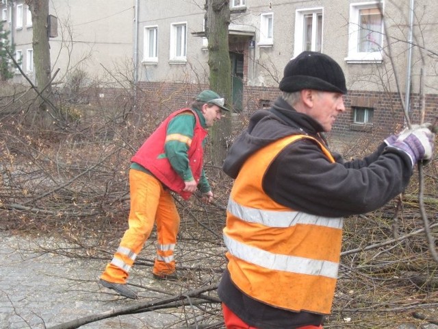 W ostatnich dniach rozpoczęto  wycinanie koron drzew. W najbliższym czasie drzewa zostaną sukcesywnie wycięte.