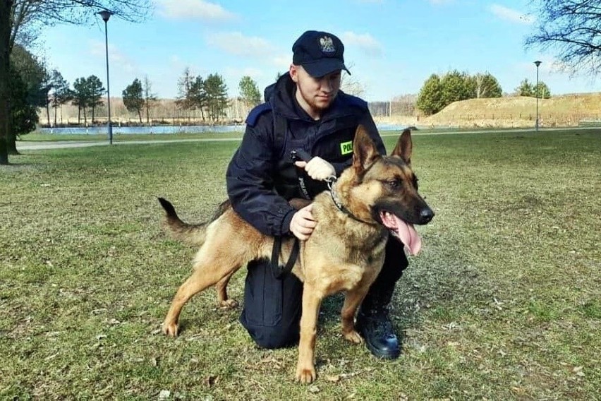 Nowi funkcjonariusze w podlaskiej policji. Nida i Nona będą...