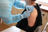 Kielecki program szczepień dla osób w wieku 55+ na półmetku. Wykorzystano połowę dawek 