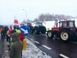 Wielki protest rolników. W woj. lubelskim odbyło się 18 zgromadzeń [GALERIA]