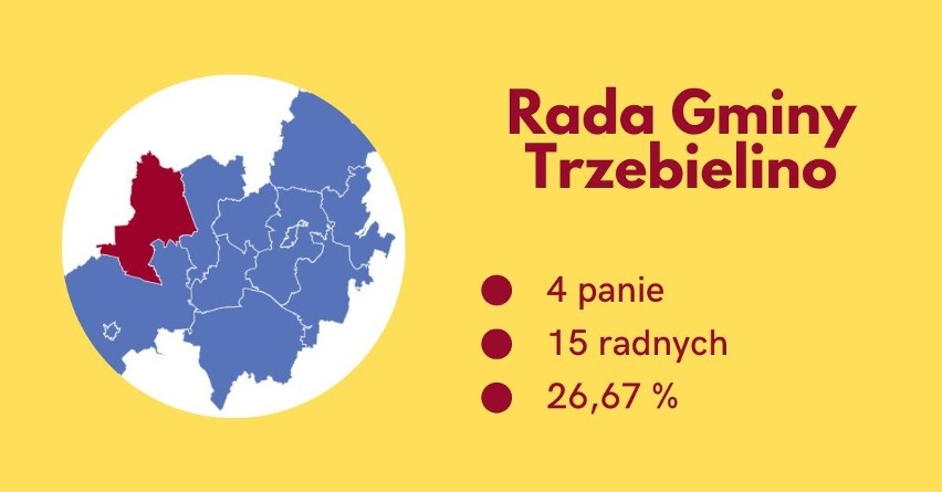 W Tuchomiu rządzą kobiety, a w Lipnicy nie ma ani jednej radnej. Nasz raport