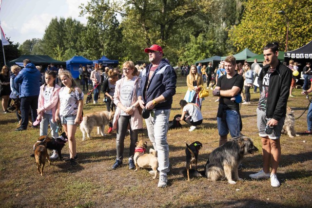 W weekend w Toruniu po raz drugi zorganizowano "Piknik na 4 łapach". Gościem specjalnym wydarzenia był Dawid Zawadzki - aktor, trener, instruktor i miłośnik psów. Jednym z głównych punktów programu była wystawa psów nierasowych. W programie pikniku znalazły się także: bieg "Psiebiegnij się", warsztaty, animacje dla dzieci, pokazy i pogadanki, kiermasz książek oraz loteria. Cały dochód z imprezy zostanie przekazany na potrzeby czworonogów przebywających w toruńskim schronisku.Podczas imprezy była też możliwość bezpłatnego zachipowania psa czy wyrobienia mu adresatki.   Imprezę zorganizowały: Schronisko dla Bezdomnych Zwierząt w Toruniu, Fundacja Inicjatyw Kreatywnych Fanaberia, Sauron Team i Na 4 łapach.O krok od wielkiej tragedii! Cudem uniknęli śmierci! [wideo - program Stop Agresji Drogowej]