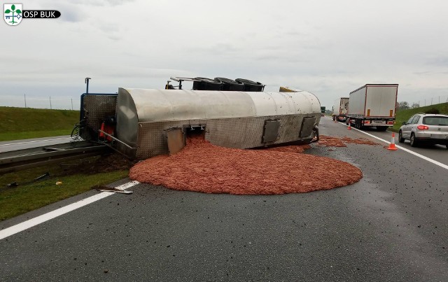 W poniedziałek na autostradzie A2 w Wielkowie niedaleko Poznania przewróciła się cysterna przewożąca pokarm dla zwierząt. W wyniku wypadku z pojazdu na jezdnię wylało się... mięso. Zobacz więcej zdjęć ---->