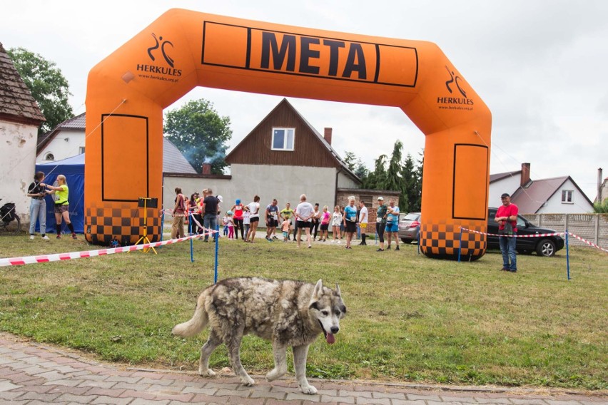 Festiwal EtnoBaltica w Swołowie. Bieg po owalnicy - Swołowska Mila [ZDJĘCIA]