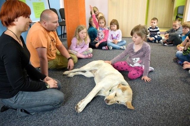 Gośćmi specjalnym w Przedszkolu na Zielonej Górce były wczoraj labrador Niva (na zdjęciu) i owczarek Rep. Dzieciom bardzo się podobały zajęcia z czworonogami.