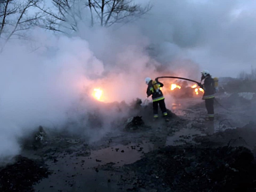 Gmina Stara Dąbrowa. Wielki pożar na składowisku odpadów. 30 strażaków w akcji [ZDJĘCIA, WIDEO]