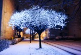 Zima w Żarach. Nocny spacer po żarskich ulicach. Cicho i niesamowicie nastrojowo