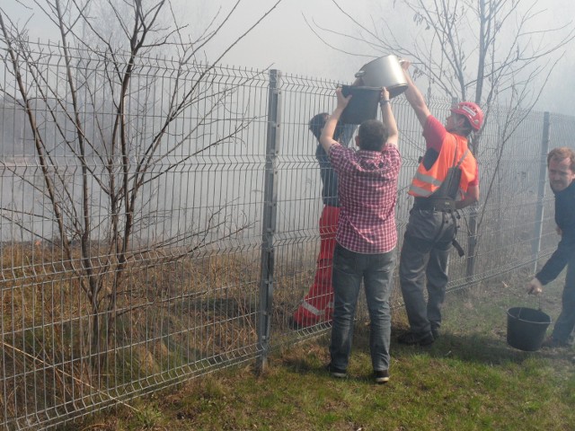 Pożar łąki w Milowicach