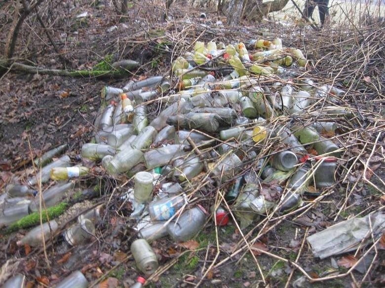 Burmistrz Orzesza proponuje kaucjonować plastikowe butelki. Minister nie odpowiada na apel