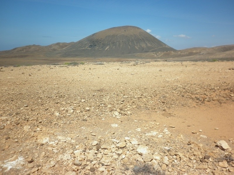Typowy dla Fuerteventury krajobraz w okolicy La Olivy
