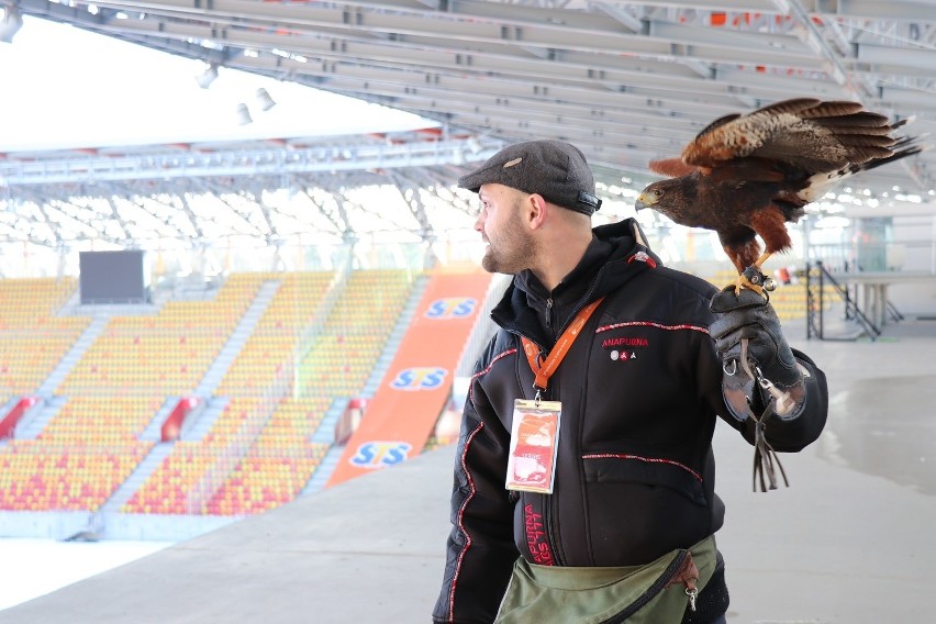 Niezwykli strażnicy Stadionu Miejskiego w Białymstoku