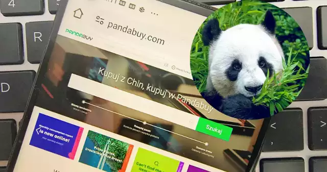 Robiłeś zakupy na chińskiej platformie sprzedażowej pandabuy.com? Twoje dane mogły posłużyć do budowy interaktywnej mapy Polski. Sprawa jest już w prokuraturze