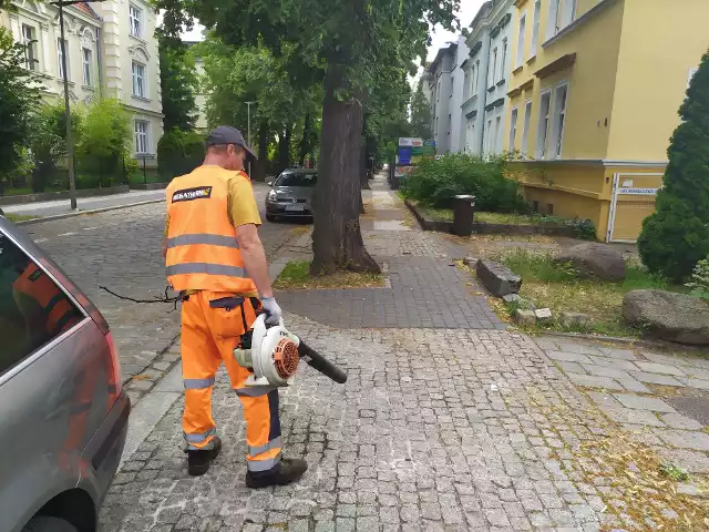 Nowa uchwała sejmiku obowiązująca od sierpnia zeszłego roku wprowadziła nowe zasady dotyczące ochrony powietrza na Opolszczyźnie. Najważniejsza zmiana dotyczy cofnięcia całorocznego zakazu używania dmuchaw do sprzątania.