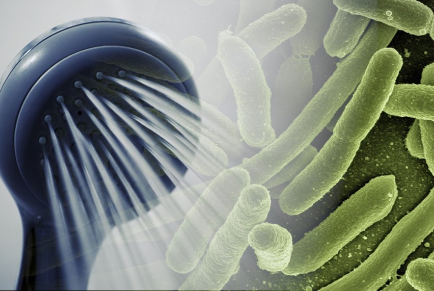 Potwierdzono, że bakterie Legionella można znaleźć w:...