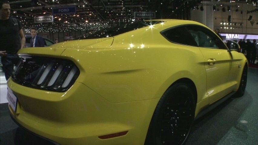 Ford Mustang / Fot. TVN/x-news