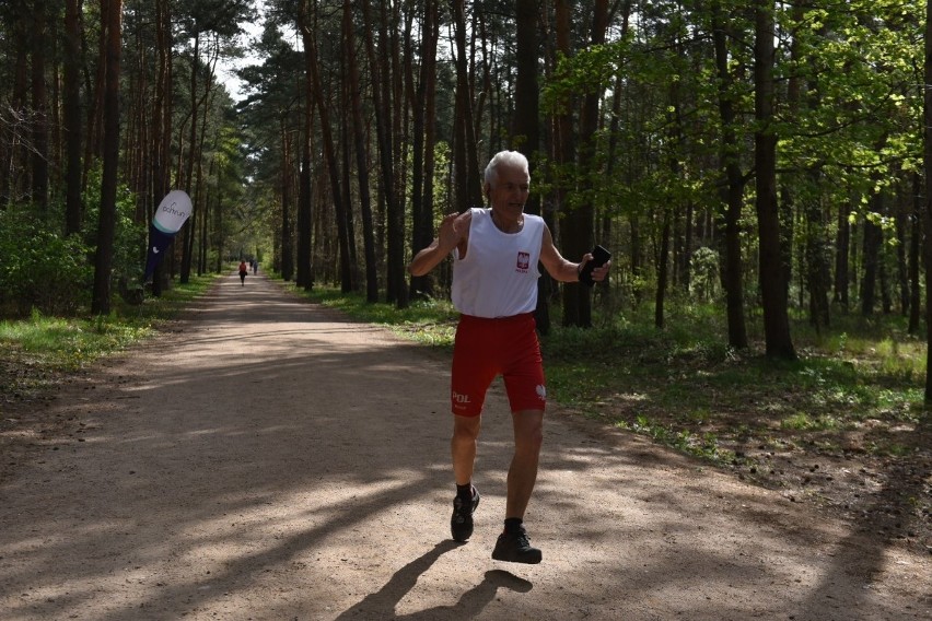 W sobotnie przedpołudnie toruńscy biegacze jak zwykle...