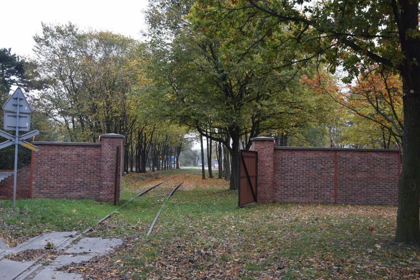 Westerplatte 1 listopada 2020 r. Pamięć i historia