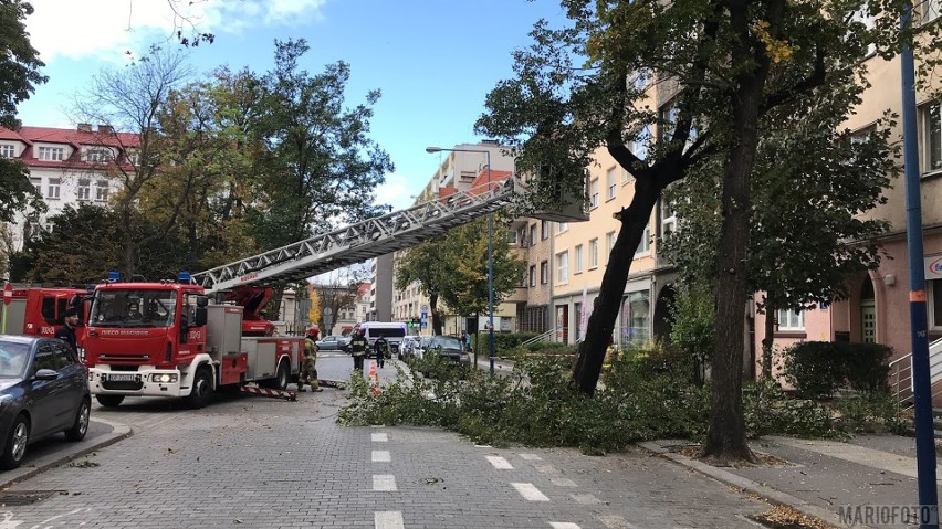 Wiatr łamie drzewa i uszkadza budynki.