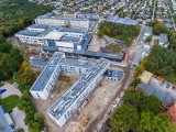 W Toruniu powstaje szpitalne miasteczko. Jak przebiegają prace? [zdjęcia]