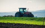 Najtańsze używane traktory w regionie radomskim. Zobacz oferty do 100 tysięcy złotych