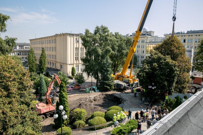 W Krakowie przesadzono 34-letnią lipę o wysokości ok. 15...