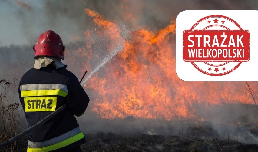 STRAŻAK WIELKOPOLSKI 2018 | Wielki plebiscyt trwa. Zagłosuj i zgłoś swoich kandydatów!