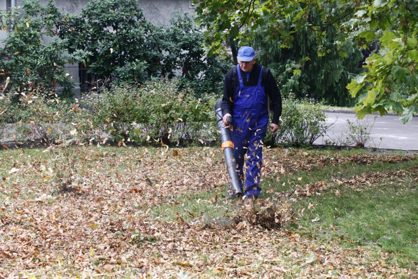 Mieszkańcy Łodzi skarżą się na hałas, tumany kurzu i pyłu wywoływane przez dmuchawy