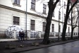 Przy Rajskiej w Krakowie wycinają stare drzewa