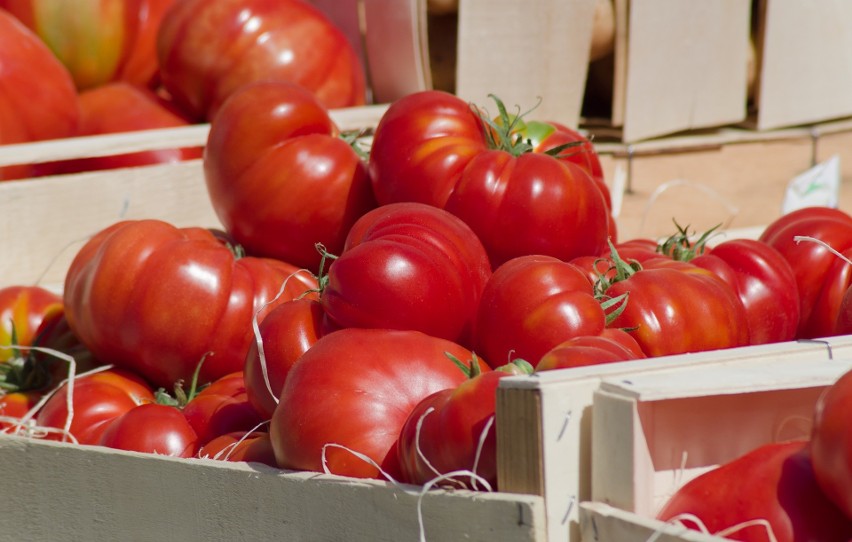 Zobaczcie najlepsze przepisy na przetwory z pomidorów.