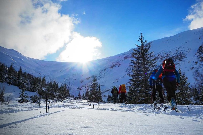 Tatry. Skitourowy raj w górach. Łapią każdy dzień pogody [ZDJĘCIA]