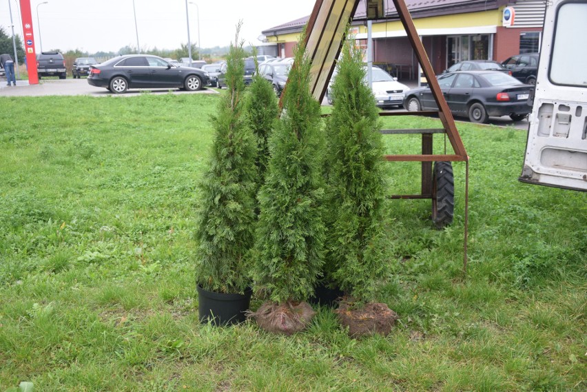 Niedzielny targ w Wierzbicy. Bardzo dużo handlujących i kupujących (ZOBACZ ZDJĘCIA)