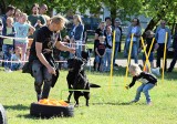 "Dzień Kundelka" w Inowrocławiu. Atrakcji nie brakowało