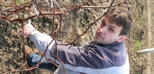 Paweł Wieczorek z Borku jest prawdziwym pionierem winiarstwa w regionie radomskim.