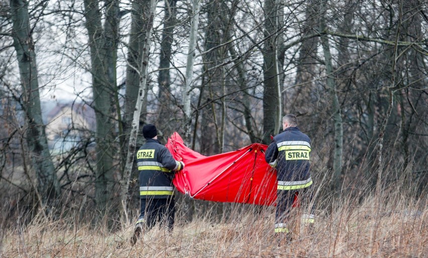 Strażacy z funkcjonariuszami sprawdzali najpierw rzekę od...