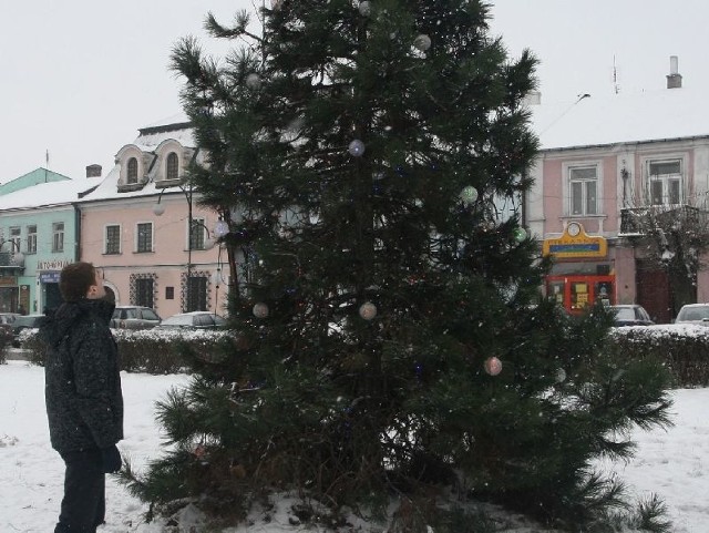 Dwie sosny rosnące na jędrzejowskim Rynku już mają w pełni świąteczny strój. Kiedy w środowe południe byliśmy w samym centrum Jędrzejowa, jedna z nich już miała zawieszone bombki i światełka