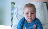 Błażej Rólka z gminy Płoniawy-Bramura choruje na ostrą białaczkę limfoblastyczną. Ruszyła zbiórka pieniędzy