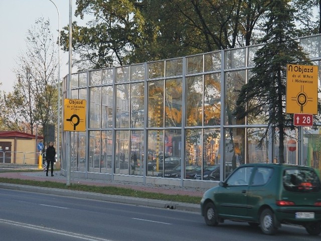 Ptaki zabijają się na szklanych ekranach ustawionych przy ul. Lwowskiej.