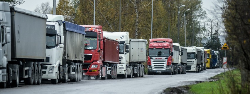 Kilkaset ciężarówek z ziarnem stało w czwartek w kolejce do...