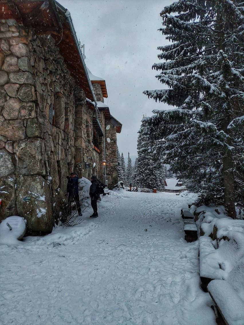 Tatry. Piękna zima w górach. Hala Gąsienicowa zasypana śniegiem. Jest pięknie! 1.12.