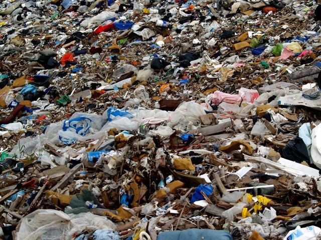 Każdy białostoczanin może wyrazić swoją opinię na temat gospodarowania odpadami