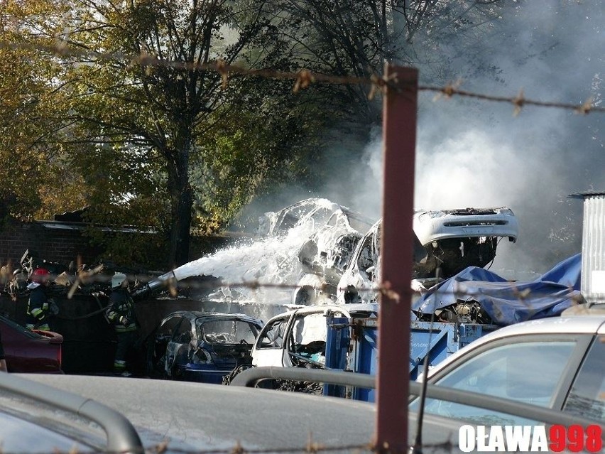 Pożar samochodów w Oławie. Spłonęło siedem aut (ZDJĘCIA)