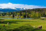 Kawałek Alp na Dolnym Śląsku! Piękna karkonoska łąka zachwyca turystów