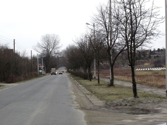 Jarzębiny przy ulicy Mickiewicza w Jaśle będą wycięte. Powstanie parking