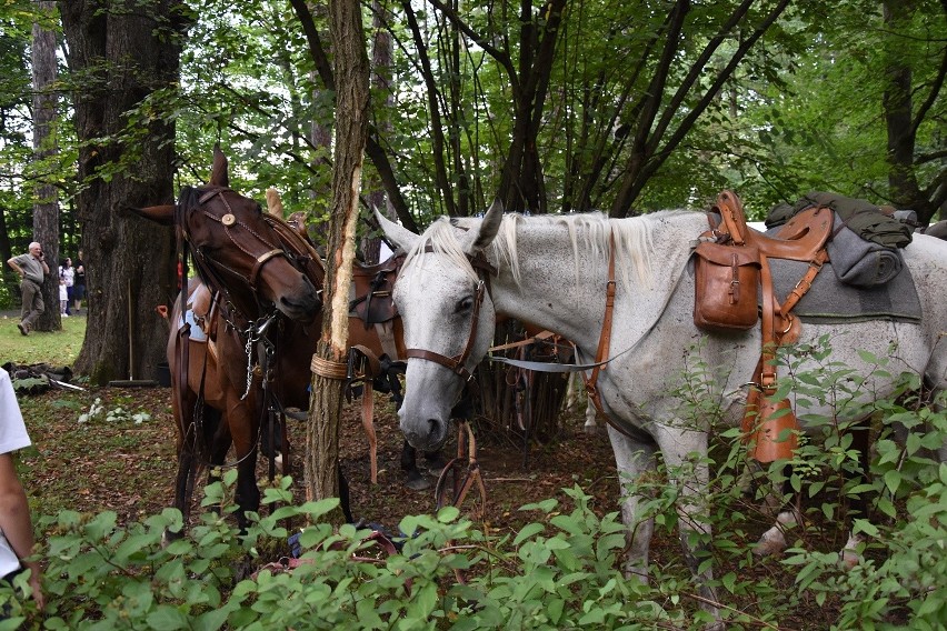 Piknik Ułański w Parku Miejskim. Były pokazy jazdy, amazonki strzelały z łuku, ułani popisywali się walecznością. Był także wywiad z koniem