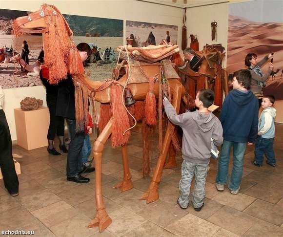  Afryka wcale nie jest dzika! Muzeum imienia Malczewskiego zaprosiło na Czarny Ląd (zdjęcia)