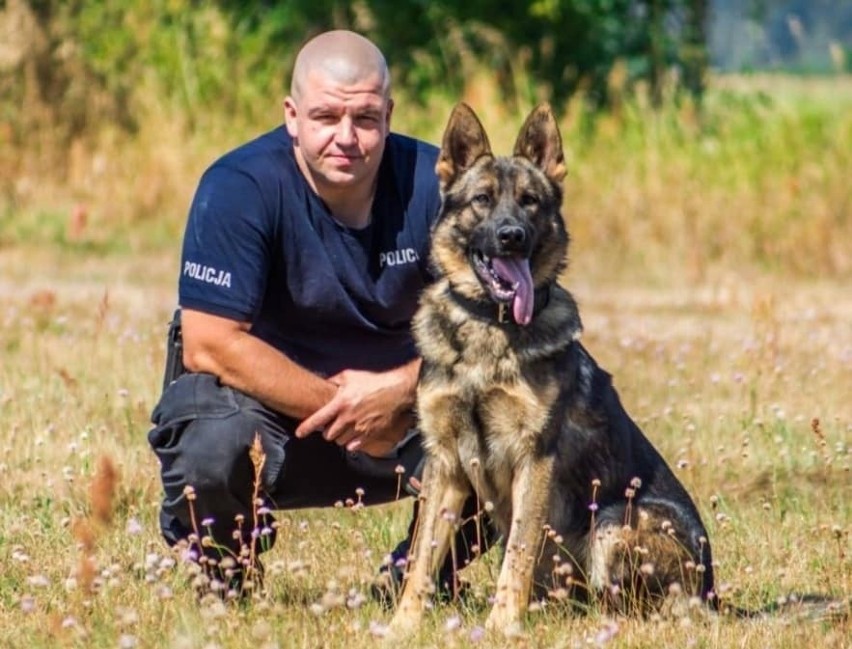 Policyjny pies z Ostrołęki doprowadził funkcjonariuszy pod dom włamywaczy. Mężczyźni są już w rękach policji